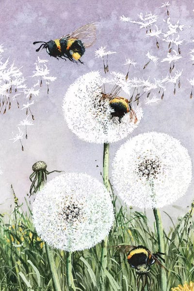 Nursery: Dandybees by Maggie Vandewalle