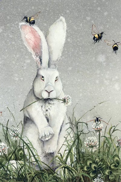 Rabbits: Dasn't Move by Maggie Vandewalle