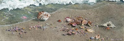 Detritus by Maggie Vandewalle multi panel art