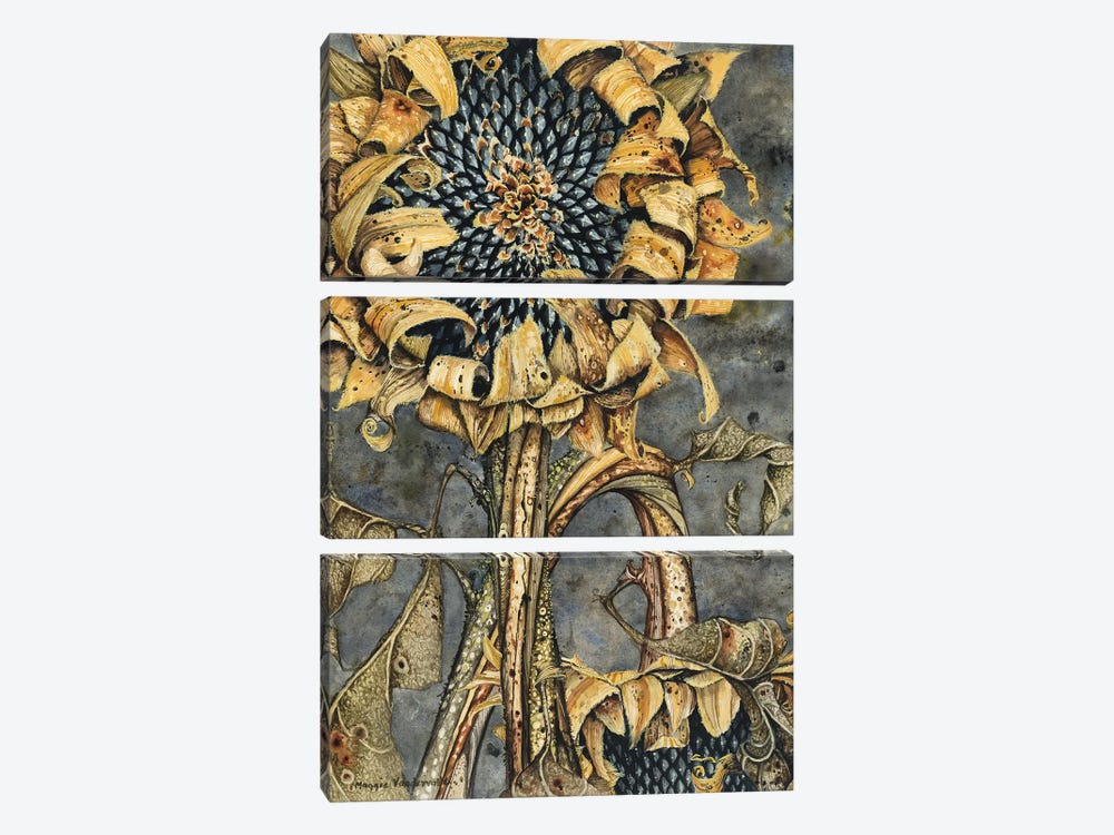 Duskflower by Maggie Vandewalle 3-piece Art Print