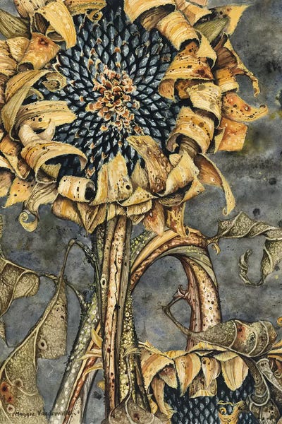 Art By 50 Women Artists: Duskflower by Maggie Vandewalle