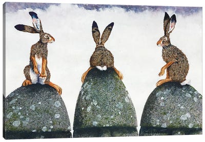 Easter Island Canvas Art Print - Rabbit Art