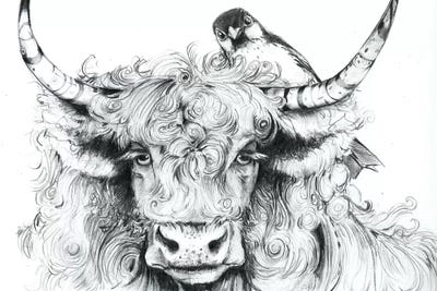 Fergus Braced Himself For Another Spring by Maggie Vandewalle framed wall art