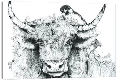 Fergus Braced Himself For Another Spring Canvas Art Print - Highland Cow Art