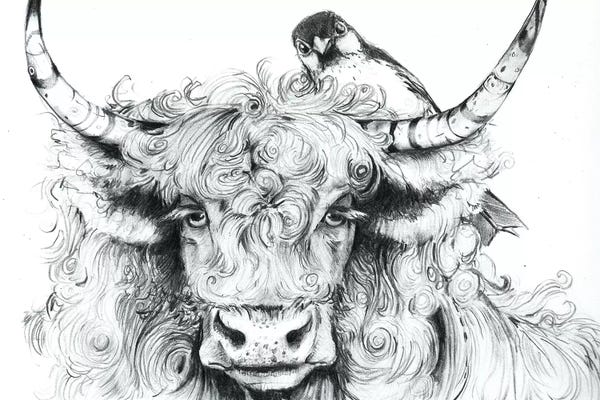 Maggie Vandewalle: Fergus Braced Himself For Another Spring by Maggie Vandewalle