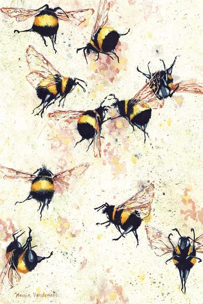 Bees: Fermented by Maggie Vandewalle