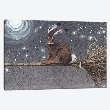 Flyaway Hare Canvas Print #MVA36} by Maggie Vandewalle Canvas Wall Art