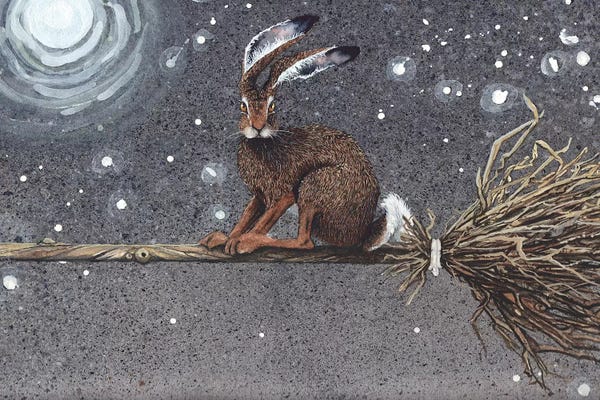 Rabbits: Flyaway Hare by Maggie Vandewalle