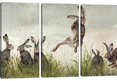 Hijinx Canvas Art Print - 3-Piece Animal Art