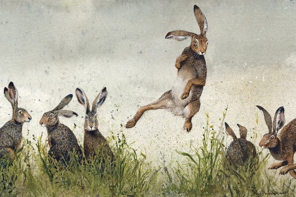 Wall Art: Hijinx by Maggie Vandewalle