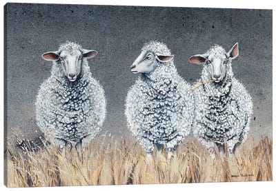 It Became Clear That Ralph Was Not All He Professed To Be Canvas Art Print - Sheep Art