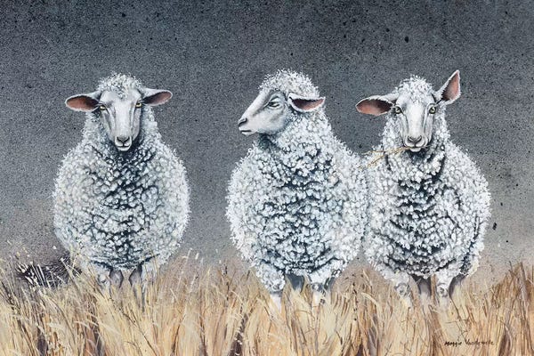 Sheep: It Became Clear That Ralph Was Not All He Professed To Be by Maggie Vandewalle