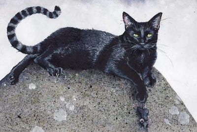 Laissez-faire by Maggie Vandewalle canvas print