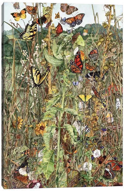 Late Summer Canvas Art Print - Monarch Butterflies