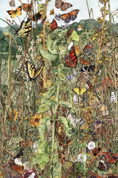 Insects: Late Summer by Maggie Vandewalle