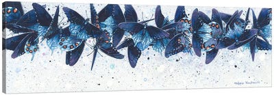 Pipevines Canvas Art Print - Insect & Bug Art