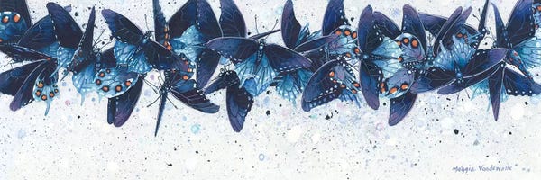 Insects: Pipevines by Maggie Vandewalle