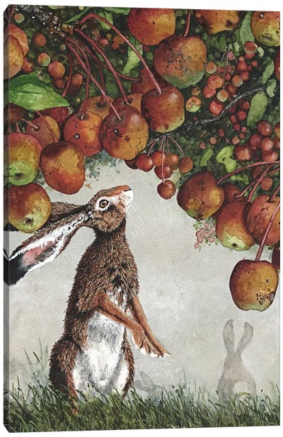Seasons Of Mist And Mellow Fruitfulness Canvas Art Print - Rabbit Art