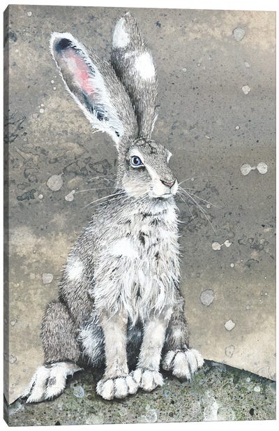 Silver Canvas Art Print - Rabbit Art