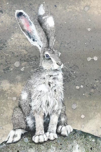 Rabbits: Silver by Maggie Vandewalle