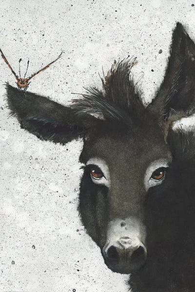 Donkeys: Solidarity by Maggie Vandewalle