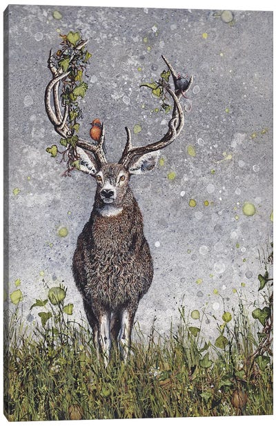Stag Canvas Art Print - Art by 50 Women Artists
