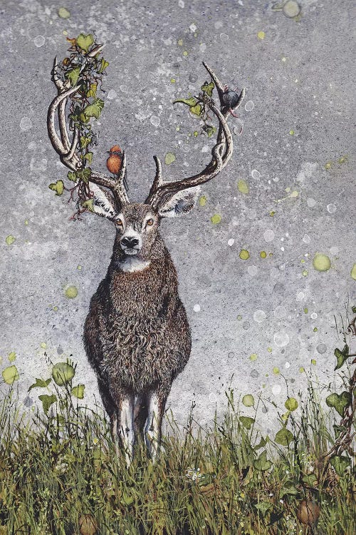 Stag by Maggie Vandewalle wall art