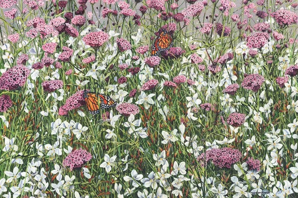 Cozy Cottage: Sunshower by Maggie Vandewalle