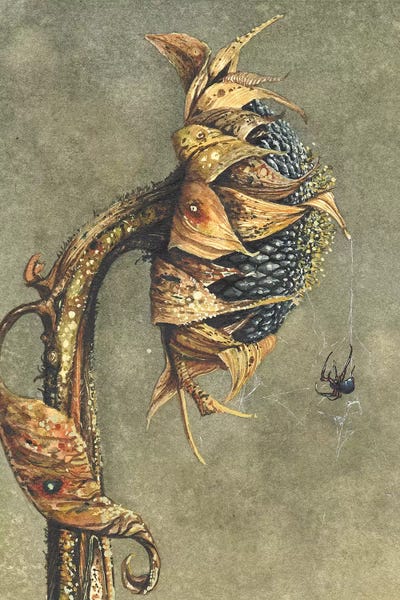 Maggie Vandewalle: Along Came A Spider by Maggie Vandewalle