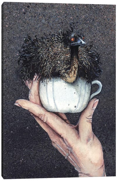 Teacup Emu Canvas Art Print - Maggie Vandewalle