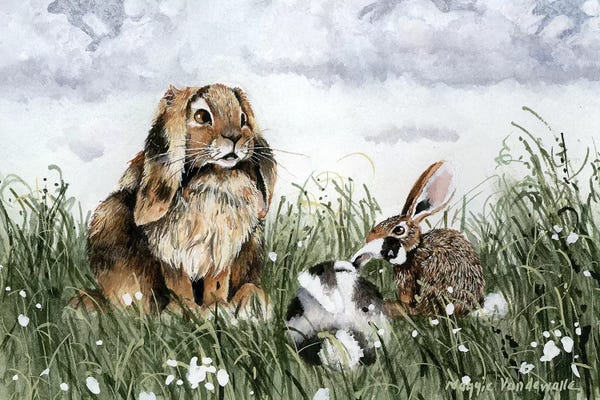 Rabbits: The Storyteller by Maggie Vandewalle