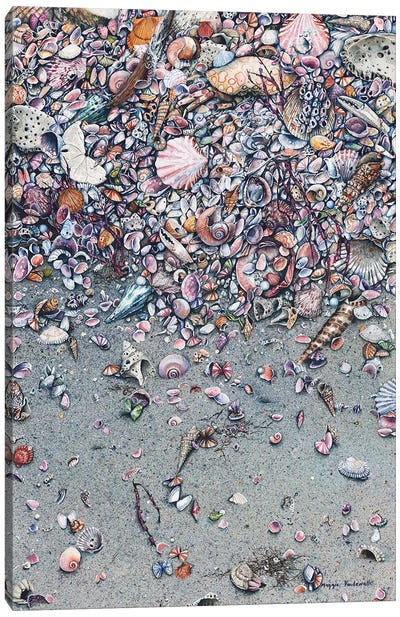 Time And Tide Canvas Art Print - Sea Shell Art