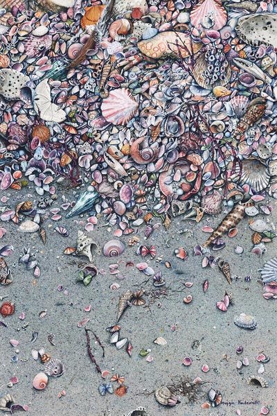 Ocean Treasures: Time And Tide by Maggie Vandewalle