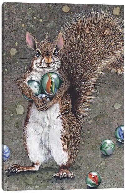 Totally Marbles Canvas Art Print - Squirrel Art