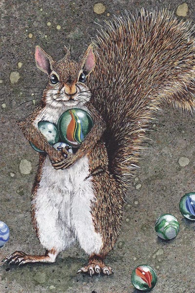 Rodents: Totally Marbles by Maggie Vandewalle