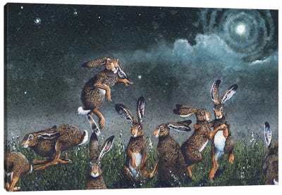 Moondance Canvas Art Print - Rabbit Art