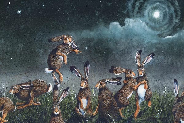 Older Kids Room: Moondance by Maggie Vandewalle