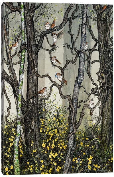Winter Jasmine Canvas Art Print - Sparrows