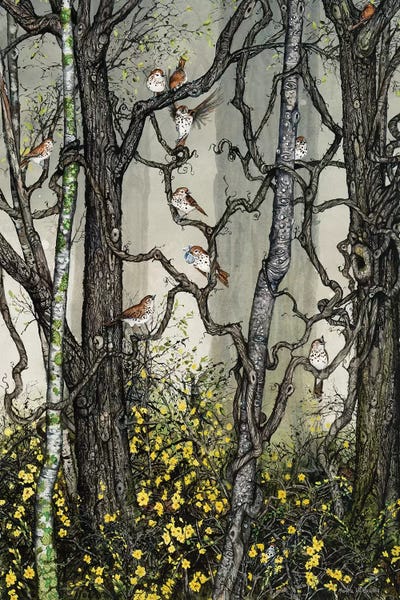 Dreamy Watercolor Artists: Winter Jasmine by Maggie Vandewalle