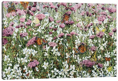 High Summer Canvas Art Print - Wildflowers