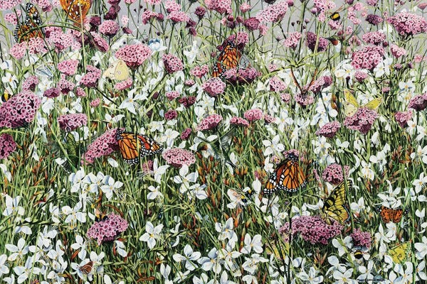 Butterflies and Flowers: High Summer by Maggie Vandewalle