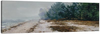 Morning Fog Canvas Art Print - 3-Piece Beach Art