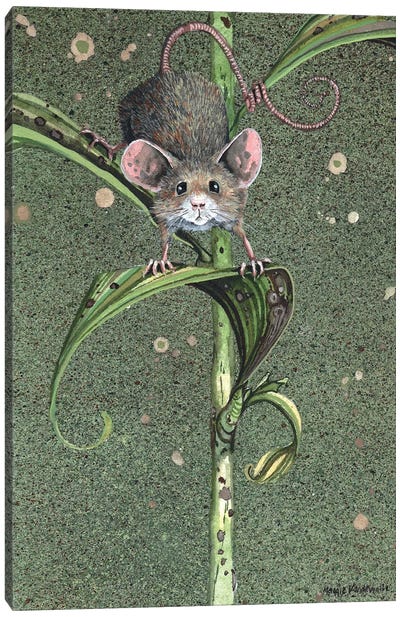 The Climbdown Canvas Art Print - Rodent Art
