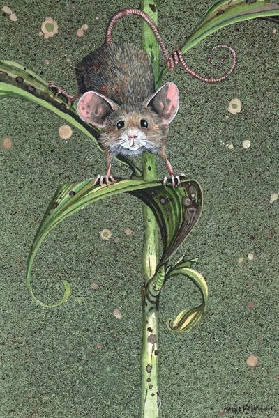 Rodents: The Climbdown by Maggie Vandewalle