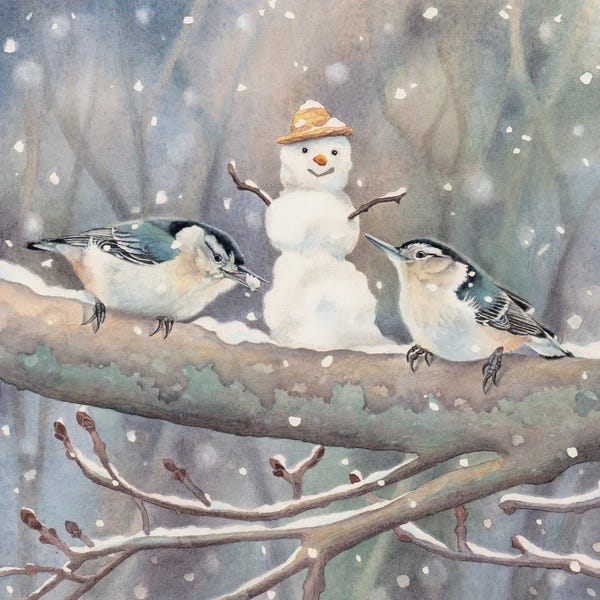 Snow: Nuthatches Love Winter by Marvindale