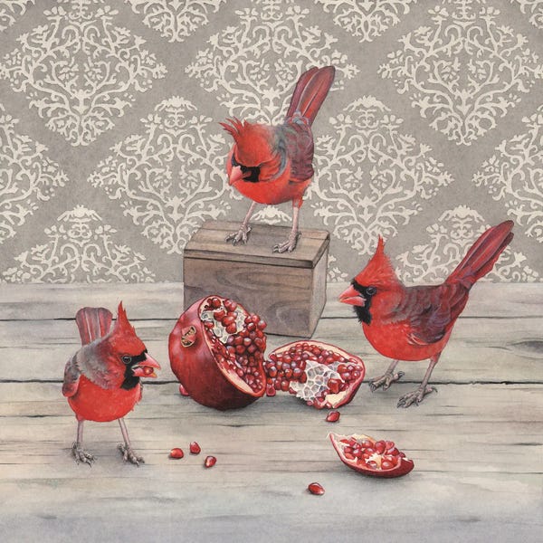 Cardinals: Seeing Red by Marvindale