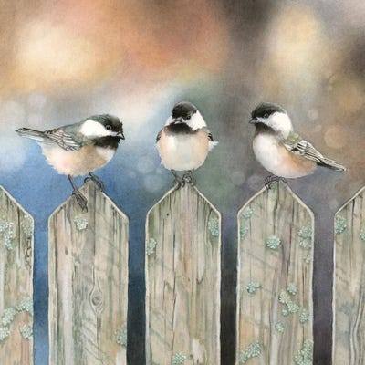 Sitting on the Fence by Marvindale canvas print