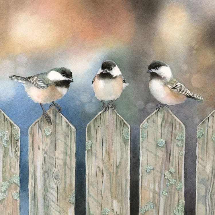 Sitting on the Fence