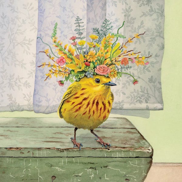 Wondrous Warbler