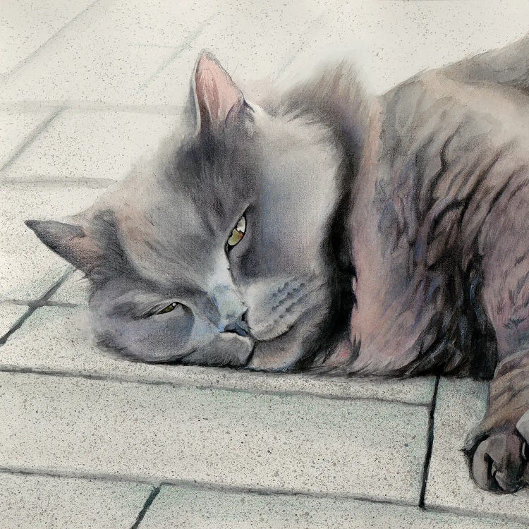 Bruce by Marvindale wall art